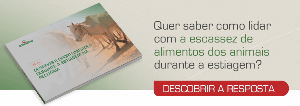 Confinamento de gado confimaq fábrica de ração animal (1)