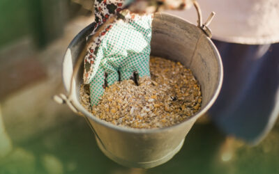 Comprar ou produzir ração na sua própria fazenda? Descubra qual é a melhor estratégia para a sua operação