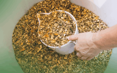 Ração contaminada: entenda o que está em jogo, quais os riscos e como proteger a sua fazenda